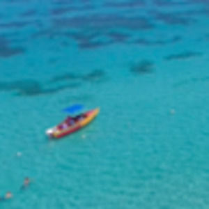 Meet your Posher, Ellie